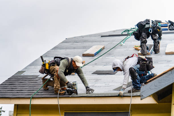 Professional Storm Damage Roof Repair technician working in Lulu, FL