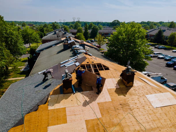 Trusted Storm Damage Roof Repair service in Lulu, FL - Brentwood Metal Roofing